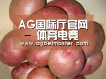 产品展示标题1
