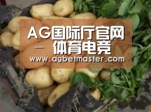 产品展示标题4