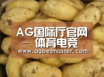 产品展示标题6