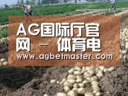 种植基地八