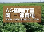 种植基地五