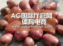 产品展示标题5