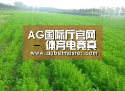 种植基地四