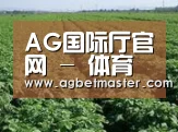 种植基地五(图1)
