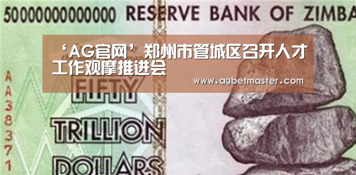 ‘AG官网’郑州市管城区召开人才工作观摩推进会(图4) AG棋牌