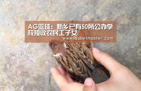 AG棋牌