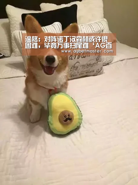 AG棋牌