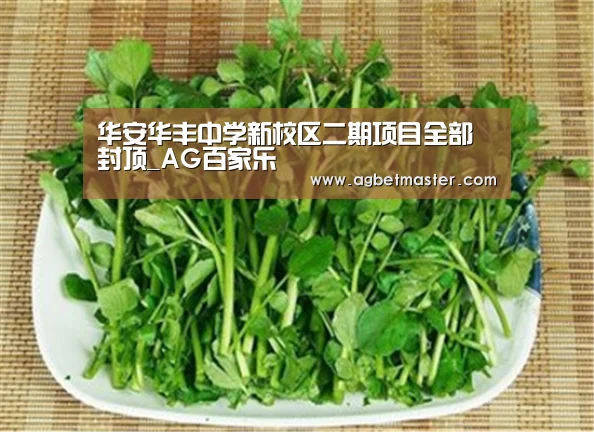 华安华丰中学新校区二期项目全部封顶_AG百家乐(图1) AG篮球
