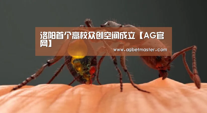 洛阳首个高校众创空间成立【AG官网】(图4) AG篮球